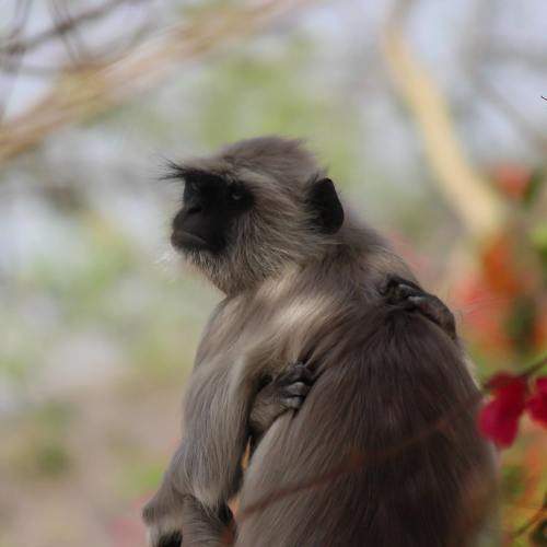 Photo #11714825