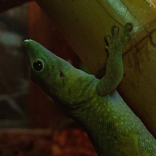 Photo #11714916