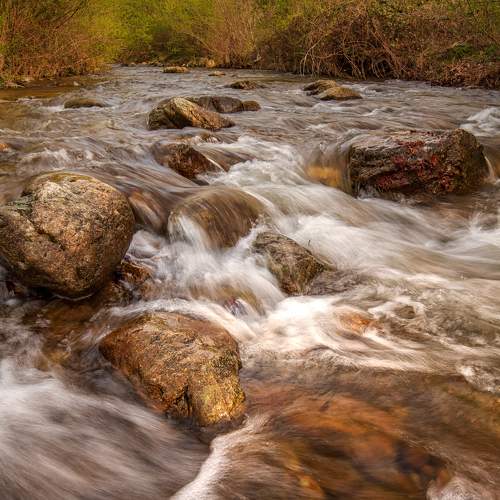 Photo #11715055