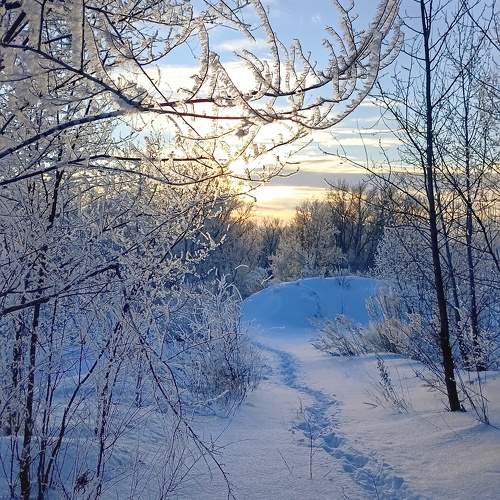 Photo #11715197