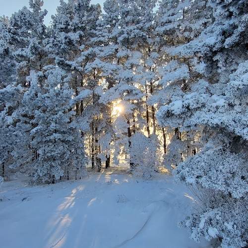 Photo #11715237