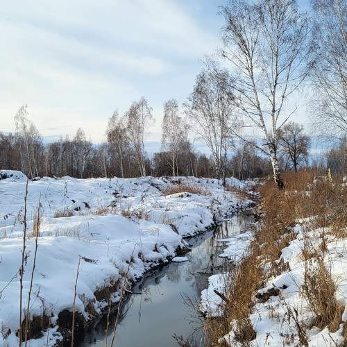 Photo #11715305