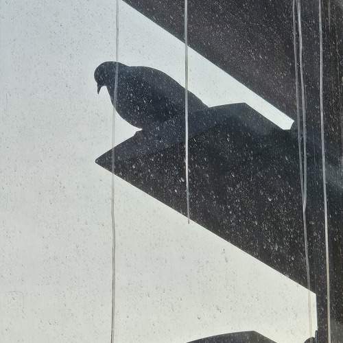 Photo #11715394