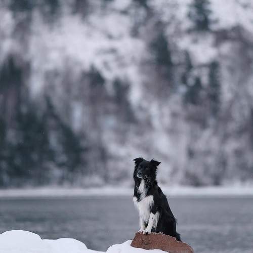 Photo #11715461