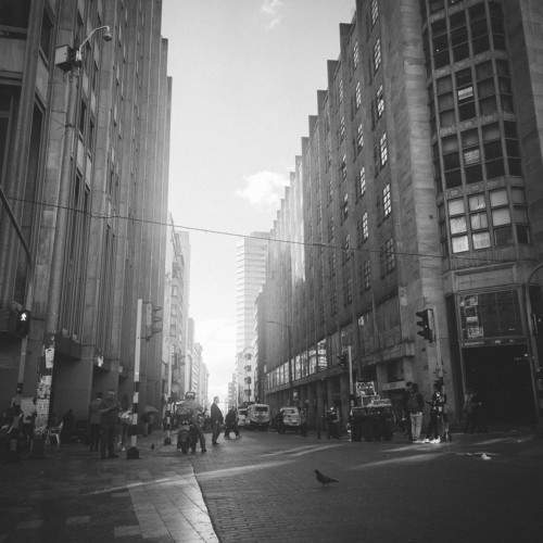 Photo #11716345