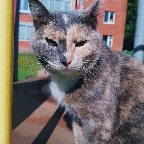 Photo #11716568