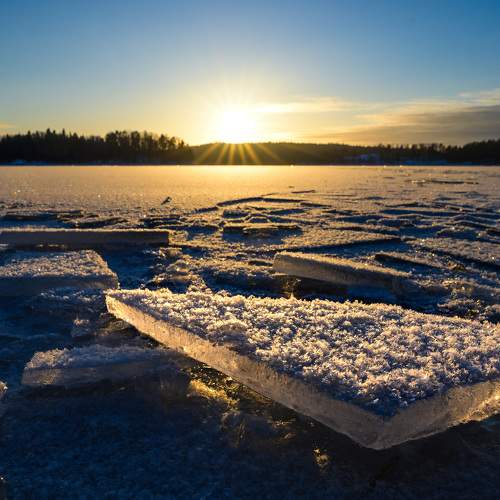 Photo #11716696
