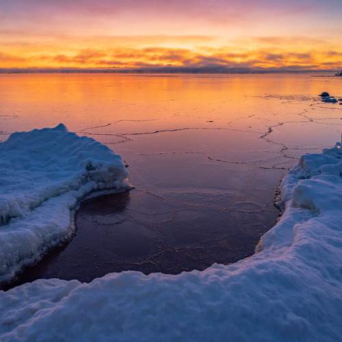Photo #11716697