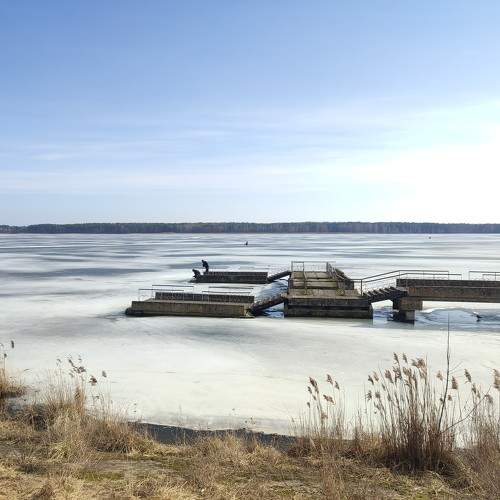 Photo #11716780