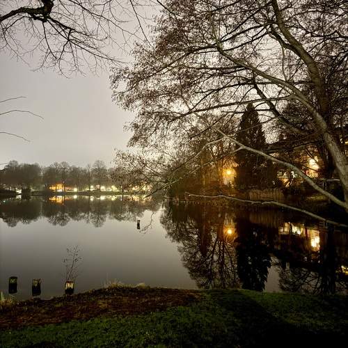 Photo #11716788
