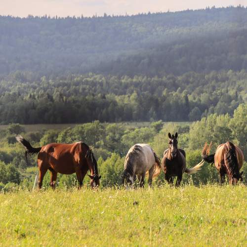 Photo #11716839