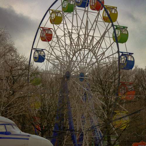 Photo #11716932