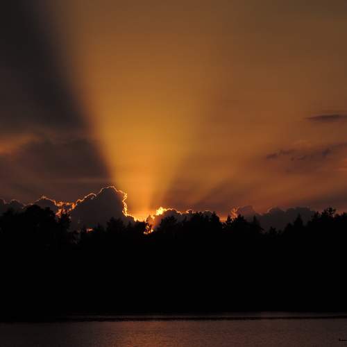 Photo #11717254