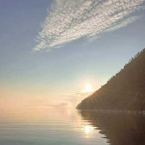 Photo #11717306