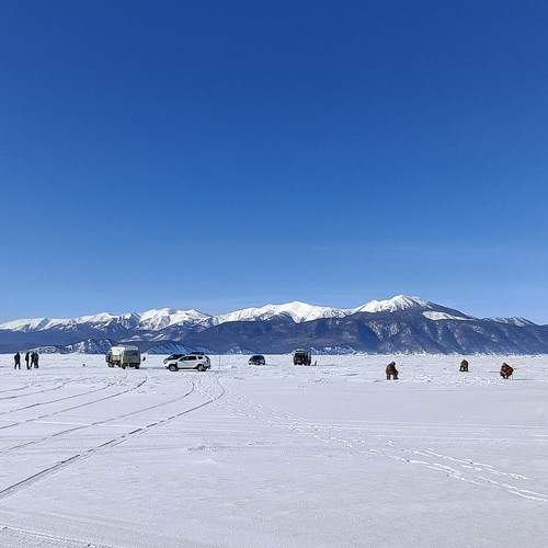 Photo #11717473
