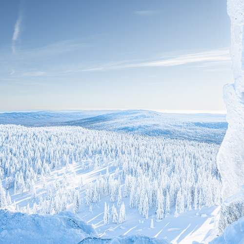 Photo #11717586