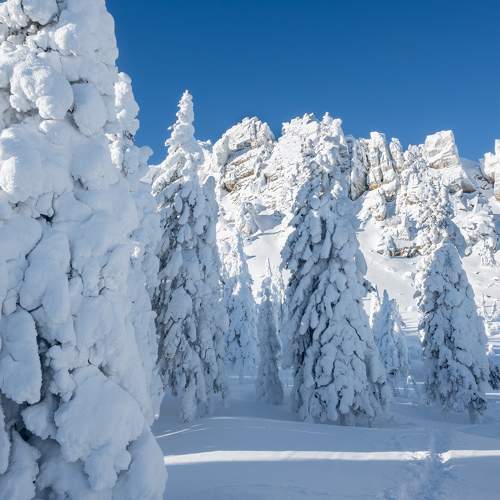 Photo #11717587