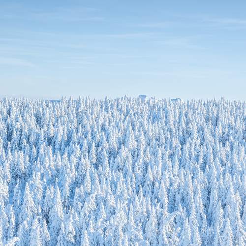 Photo #11717588