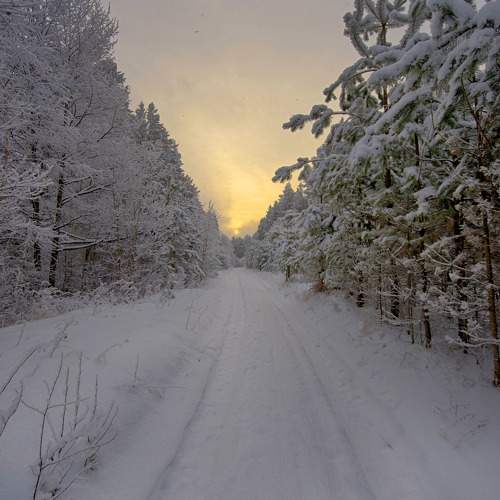 Photo #11717751
