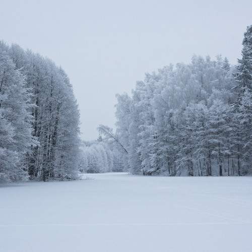 Photo #11717752