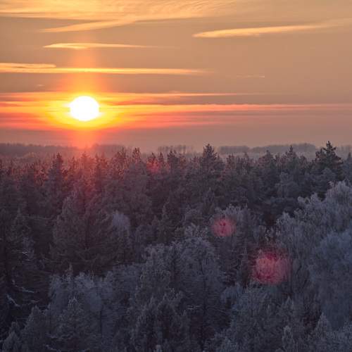 Photo #11717753
