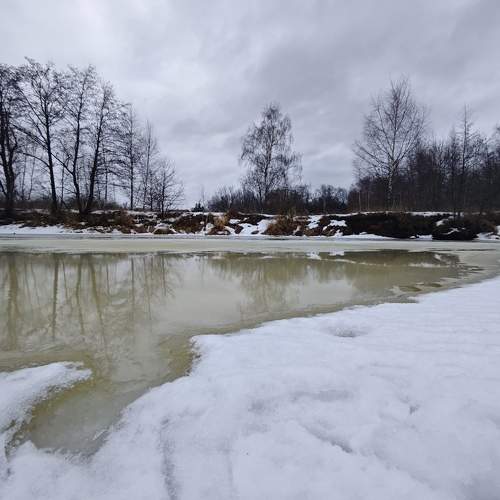 Photo #11718446