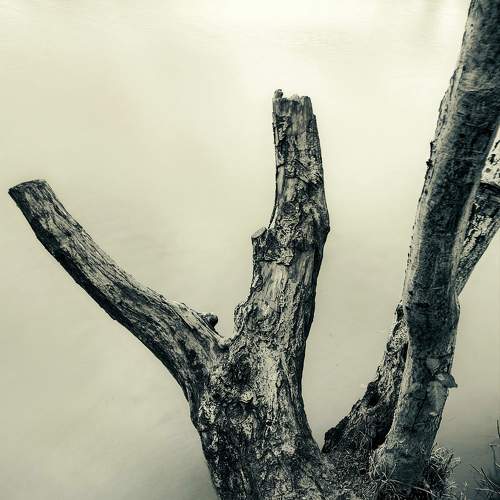 Photo #11718502