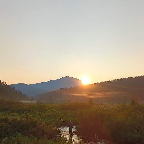 Photo #11719027