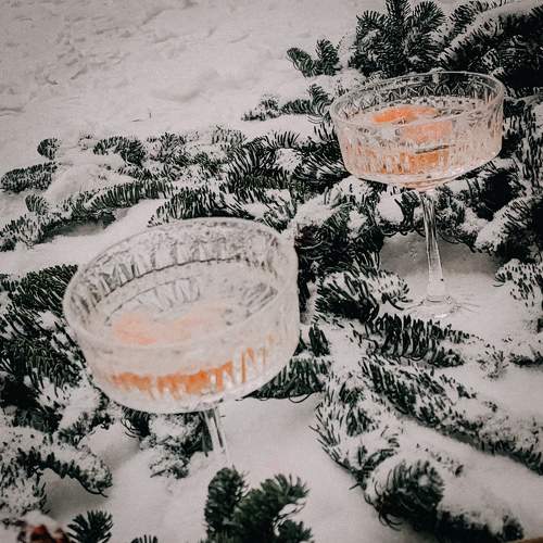 Photo #11719103