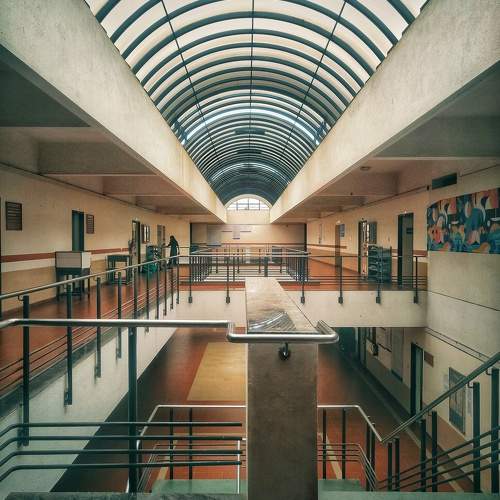 Photo #11719146