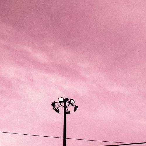 Photo #11719266