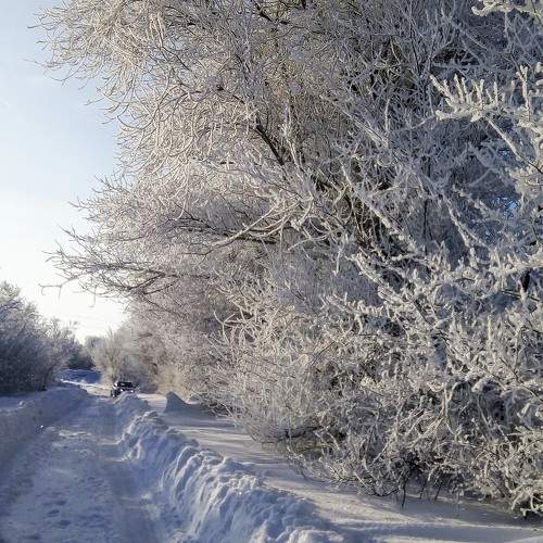 Photo #11719306