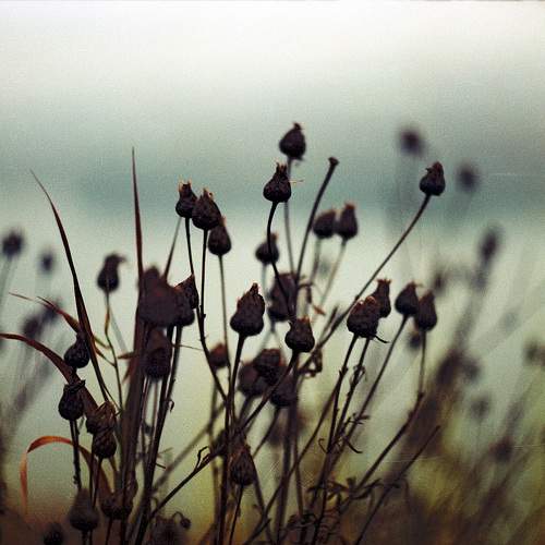 Photo #11719403