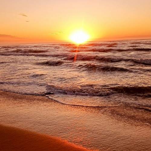 Photo #11719566