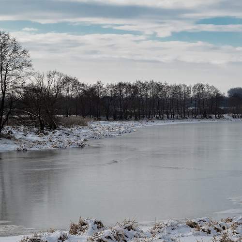 Photo #11719616