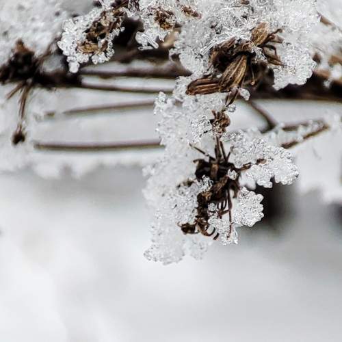 Photo #11719757