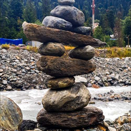 Photo #11719892