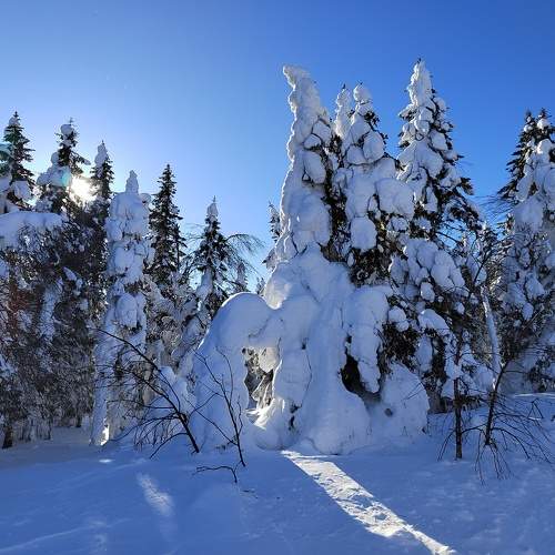 Photo #11719898