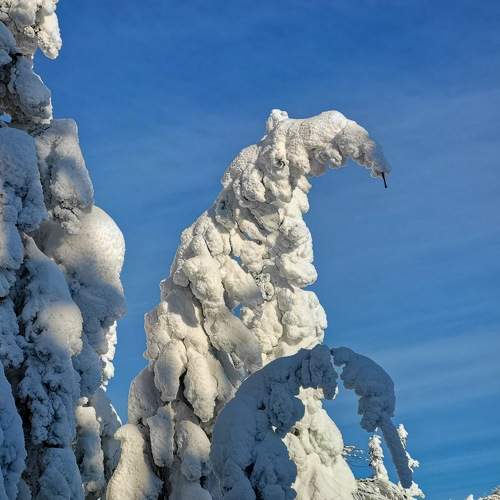 Photo #11719899