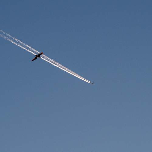 Photo #11720022