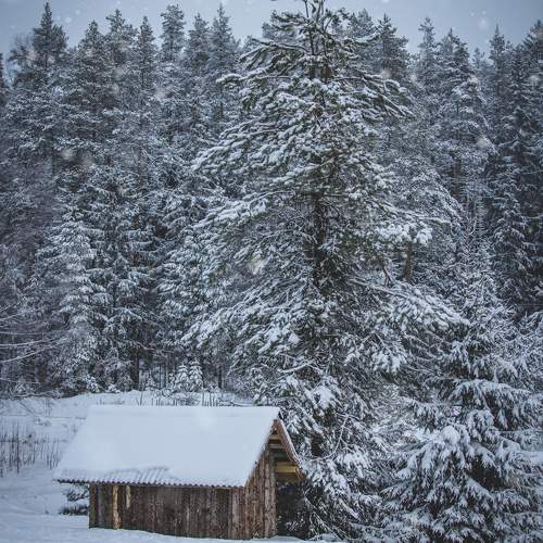 Photo #11720031