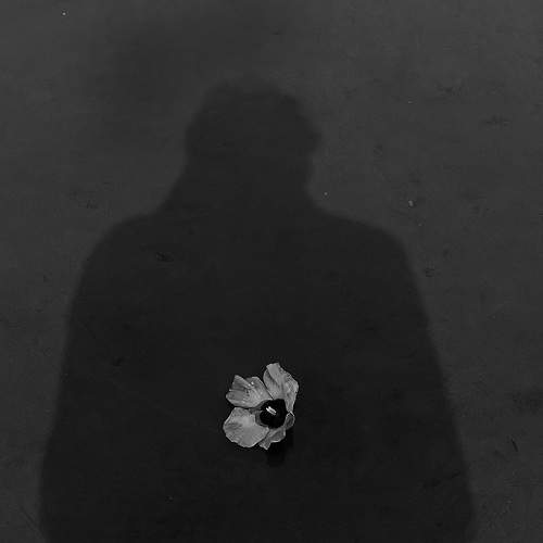 Photo #11720078