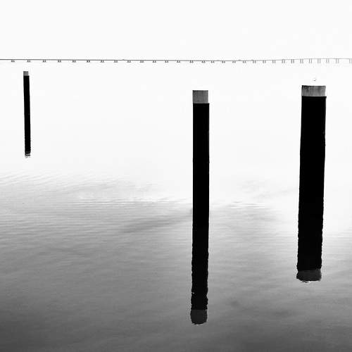 Photo #11720146