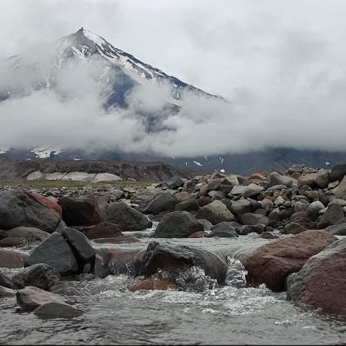 Photo #11720191