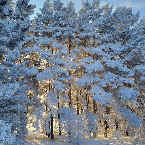 Photo #11720239