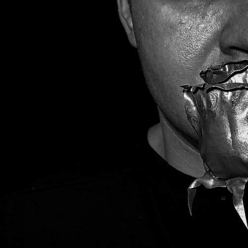 Photo #11720381