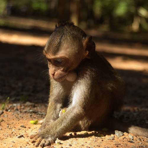 Photo #11720413