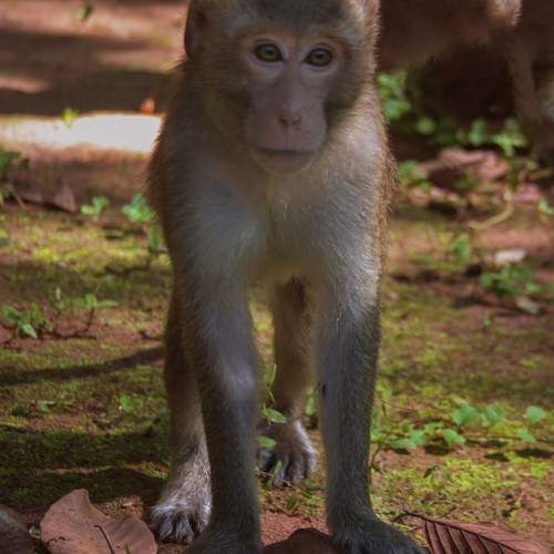 Photo #11720464