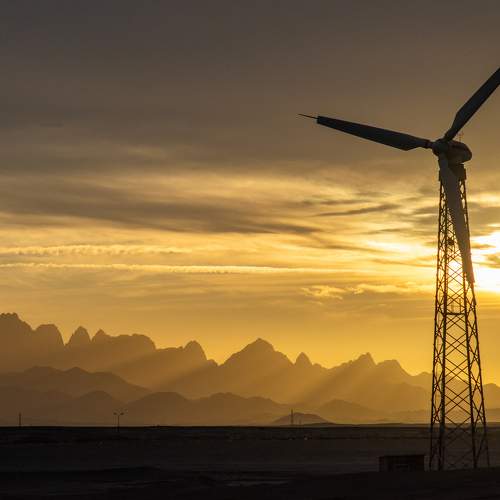 Photo #11720485