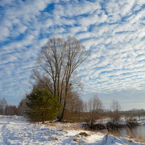 Photo #11720516